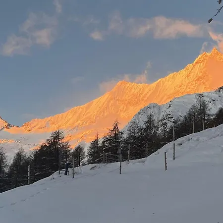 Birkhahn Appartement-fewo 4-bettwohnung By Interhome Saas-Fee