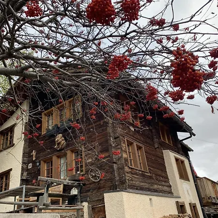 Appartamento Birkhahn Appartement-fewo 4-bettwohnung By Interhome *