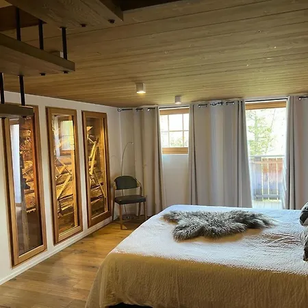 Appartamento Birkhahn Appartement-fewo 4-bettwohnung By Interhome Saas-Fee