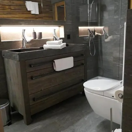 Birkhahn Appartement-fewo 4-bettwohnung By Interhome Saas-Fee