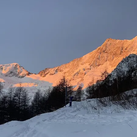 Birkhahn Appartement-fewo 4-bettwohnung By Interhome Appartamento Saas-Fee